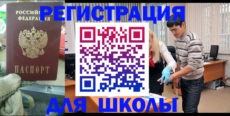 временная регистрация поиск в Светогорске